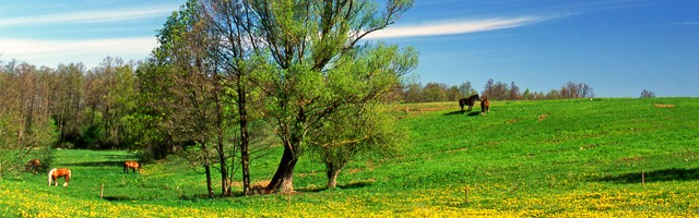 Suwalszczyzna z przewodnikiem