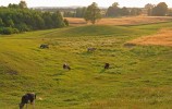 Wigierski PN - pola i łąki wsi Rosochaty Róg